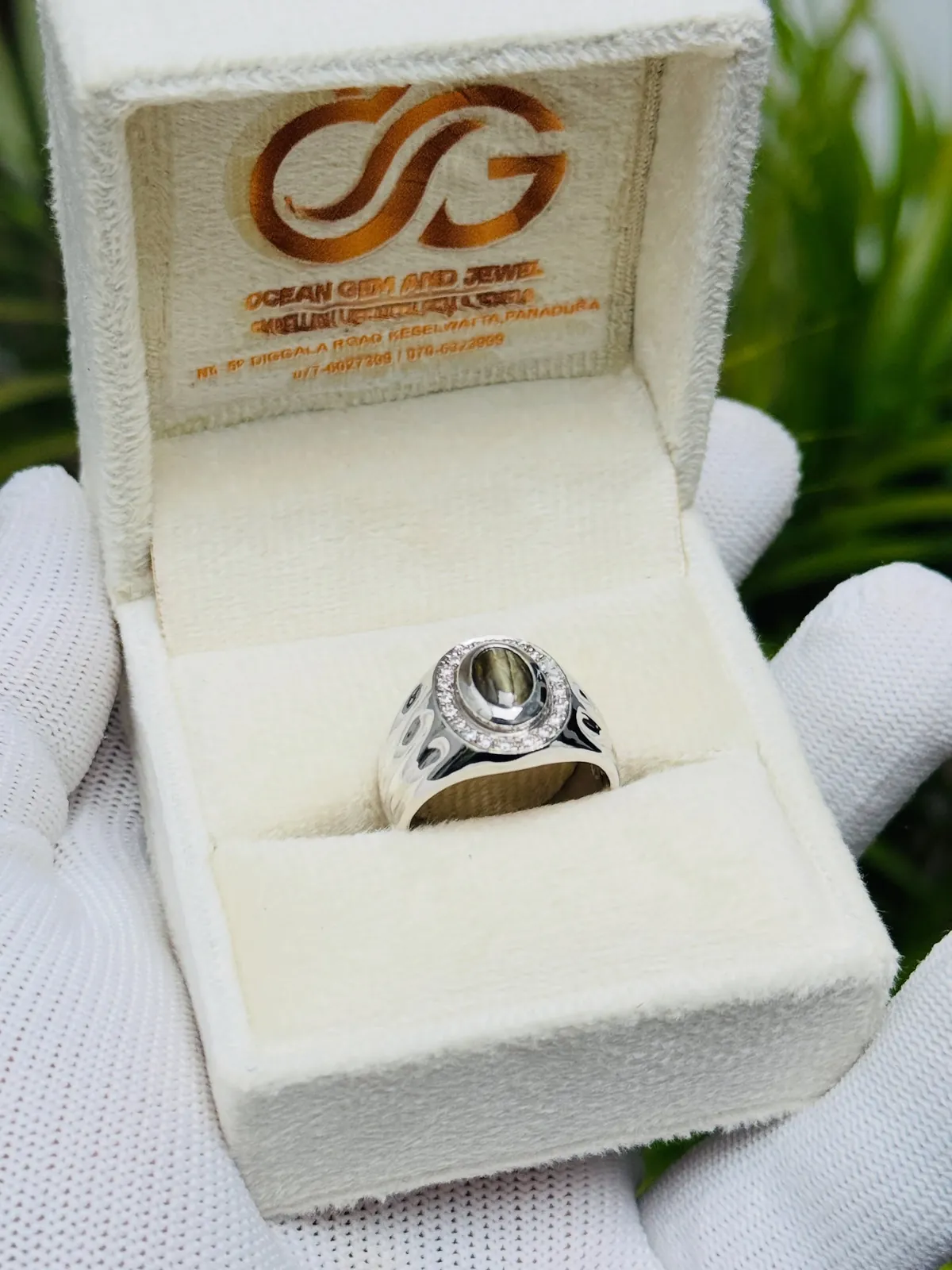 Silver ring with a natural cat’s eye