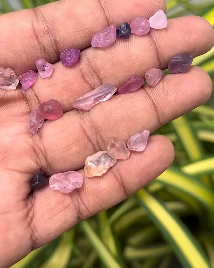 Rough lot of pink and peach sapphires